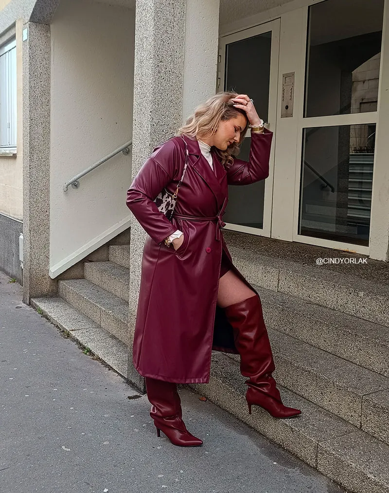 Cuissardes femme bordeaux élégantes à talon aiguille et bout pointu