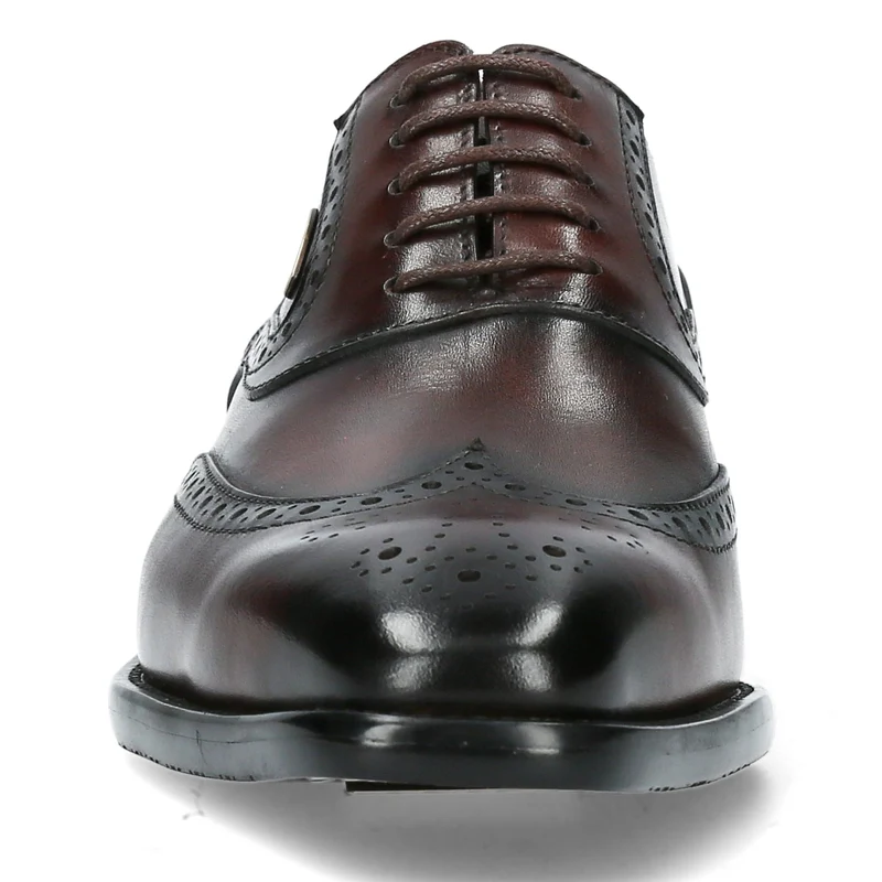 Chaussure Homme ALOYS 03