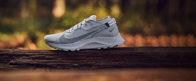 Nike Pegasus Trail 2 GORE-TEX - White/White-Pure Platinum