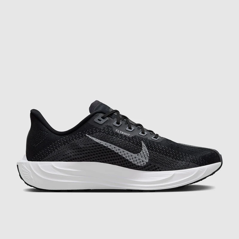 Nike Pegasus Plus