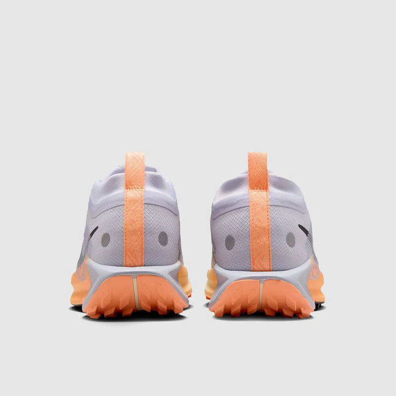 Nike Pegasus Trail 5 GORE-TEX Waterproof pour Femme