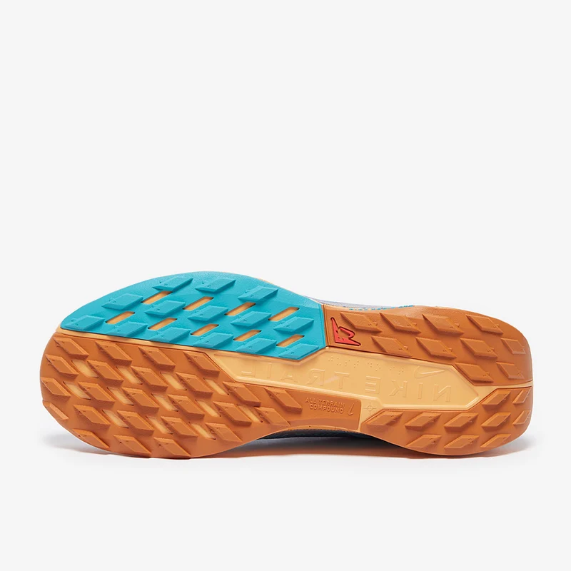 Nike Pegasus Trail 5 GORE-TEX