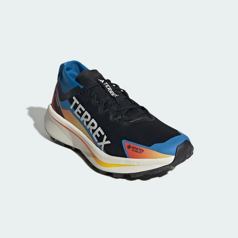 adidas Men Chaussure de trail running Terrex Agravic GTX