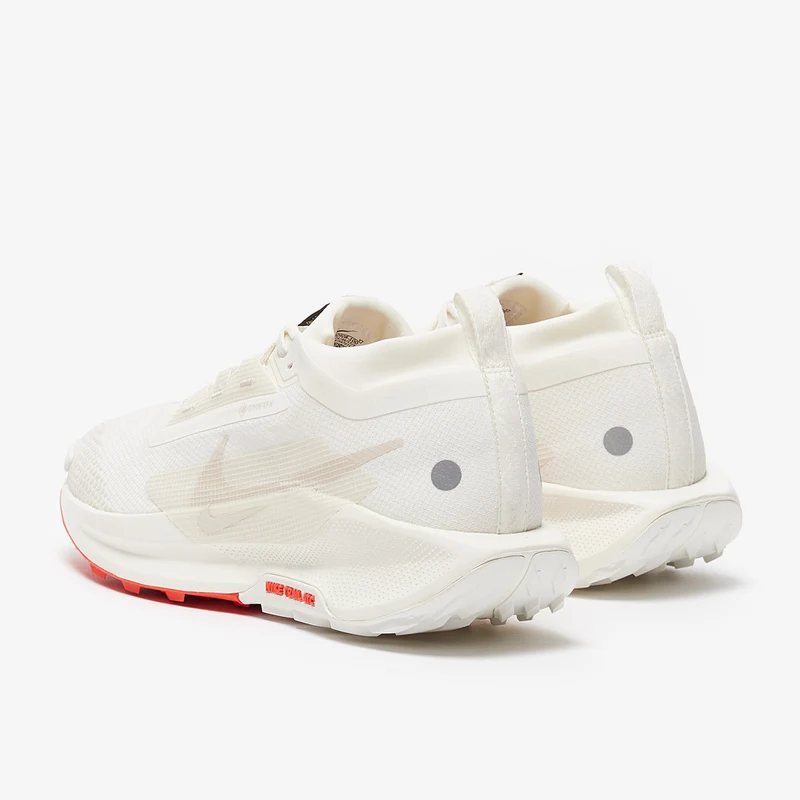 Nike Pegasus Trail 5 GORE-TEX