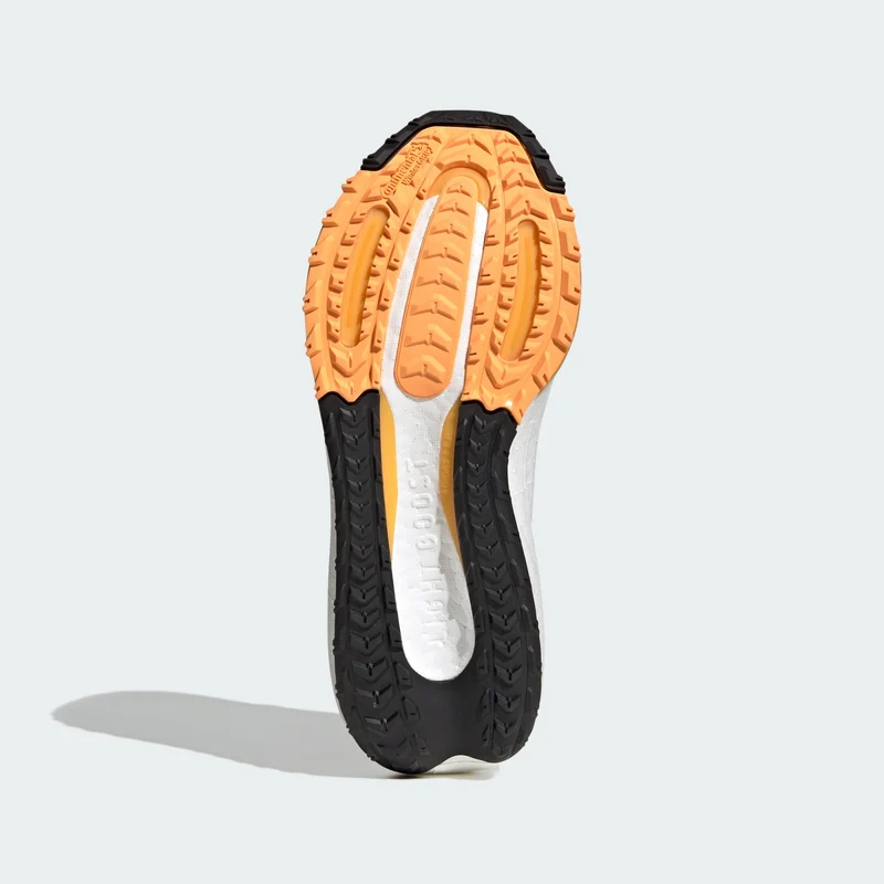 adidas Women Chaussure Ultraboost Light COLD.RDY 2.0