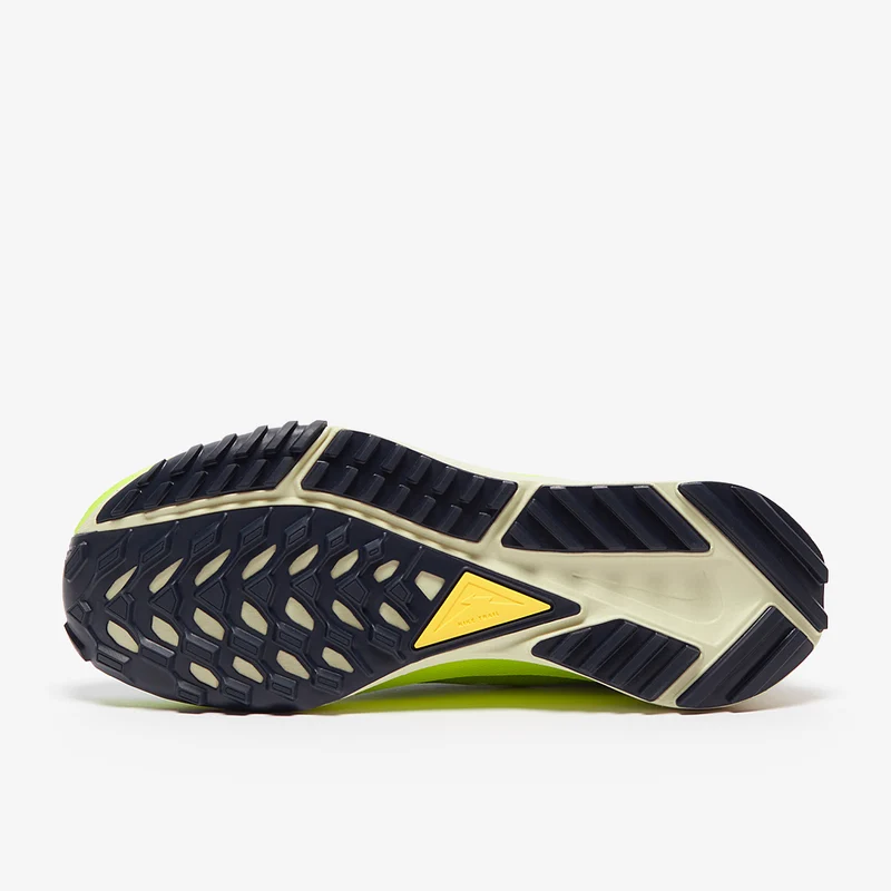Nike Femme Pegasus Trail 4 Gore-Tex