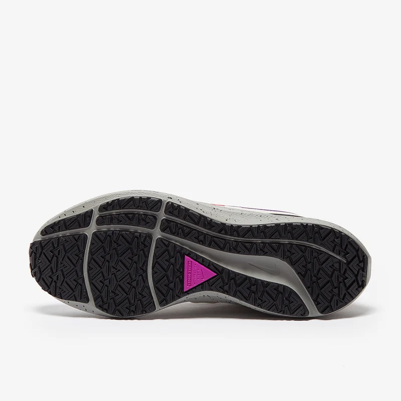 Nike Femme Air Zoom Pegasus 39 Shield