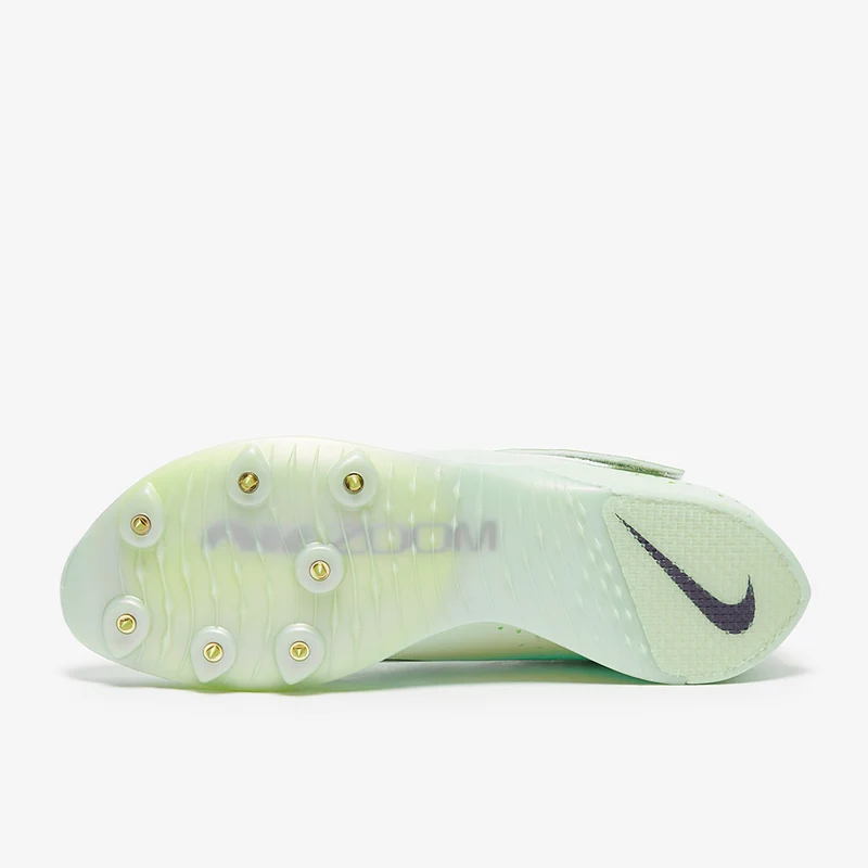 Nike Air Zoom LJ Elite