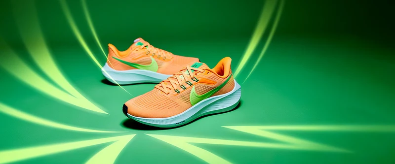 Nike Femme Air Zoom Pegasus 39