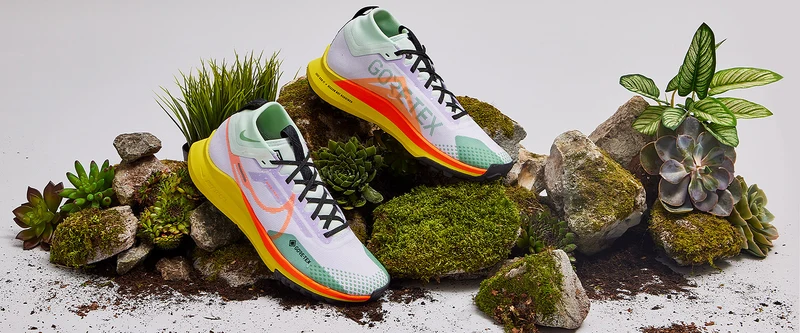 Nike Chaussure de trail imperméable pour homme Pegasus Trail